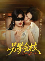 另攀金枝 封面