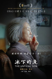 冰下的鱼 封面