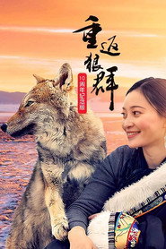 重返狼群:10周年特别纪念版 封面