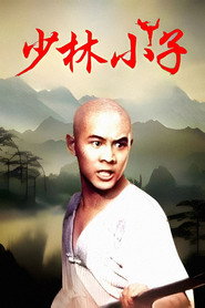 少林小子 封面