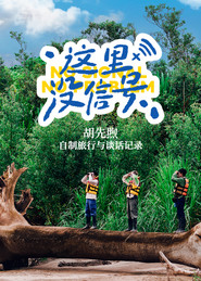 这里没信号 封面