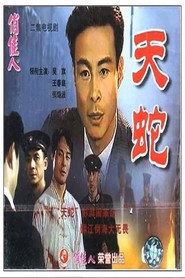 天蛇 封面
