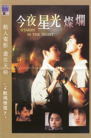 今夜星光灿烂 封面