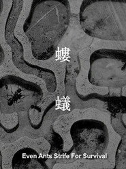 螻蟻 封面