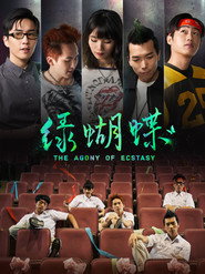綠蝴蝶 封面