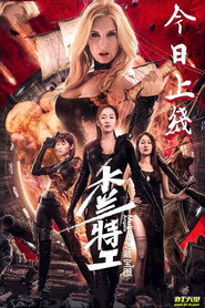 木兰特工之藏宝图 封面