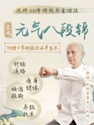 文武元气八段锦 封面