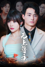 无上尊主 封面