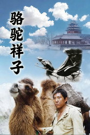 骆驼祥子 封面