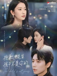 抱歉沈先生,孩子不是你的 封面