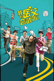 我的岳父会武术 封面