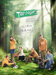TOP DOG回家 封面