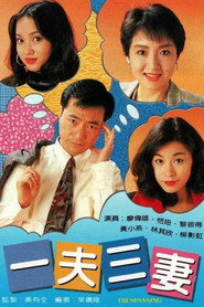 一夫三妻 封面