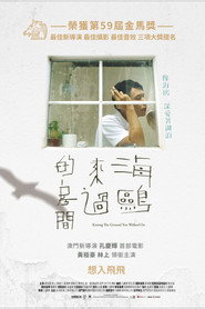 海鸥来过的房间 封面