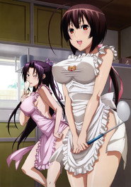 鹡鸰女神 封面