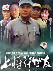 上将许世友 封面