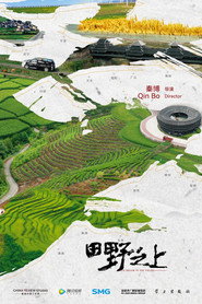 田野之上 封面