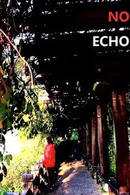 No Echo 封面