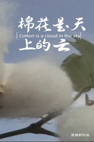 棉花是天上的云 封面