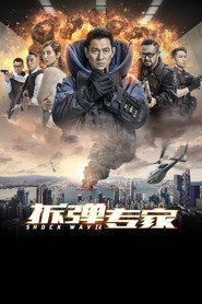 拆弹专家 封面
