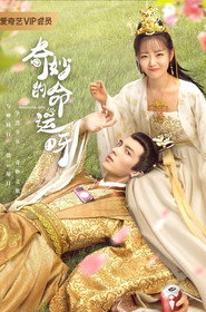 奇妙的命运呀 封面