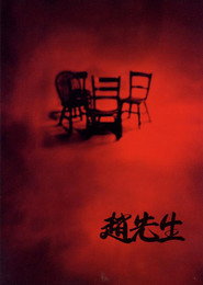 赵先生 封面