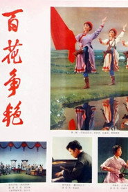 百花争艳 封面