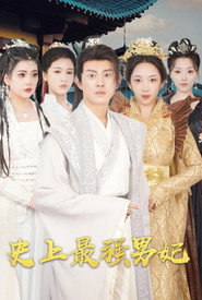 史上最强男妃 封面