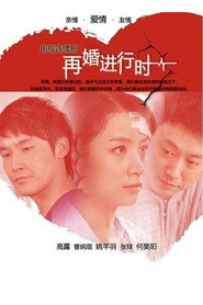再婚进行时 封面