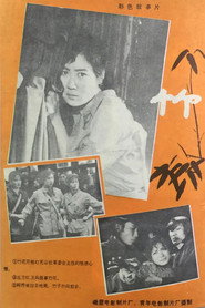 竹 封面