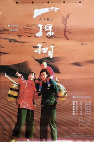 一棵树 封面