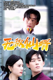 无敌仙婿 封面
