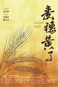 麦穗黄了 封面