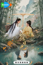 她似日光 封面