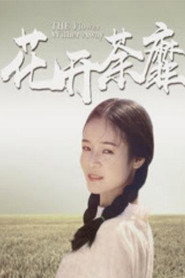 花开荼蘼 封面