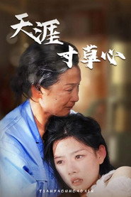 天涯寸草心 封面