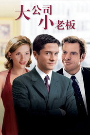 大公司小老板 封面