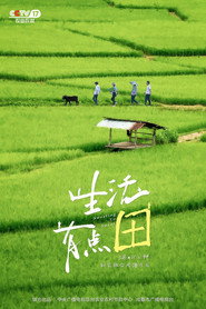 生活有点“田” 封面