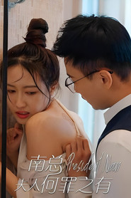 南总,夫人何罪之有 封面