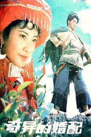 奇异的婚配 封面