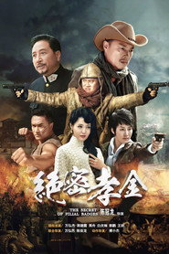 绝密孝金 封面