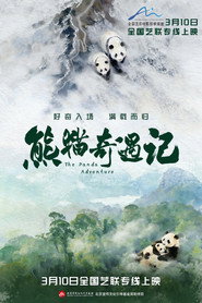 熊猫奇遇记 封面