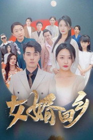 女婿回乡 封面