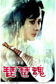 琵琶魂 封面