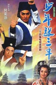 少年张三丰 封面