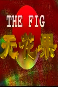 无花果 封面