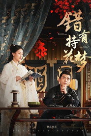 错有持花梦 封面