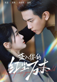 落入你的红尘万丈 封面