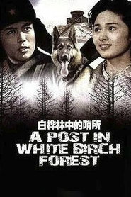 白桦林中的哨所 封面
