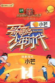 哥哥的少年时代 封面